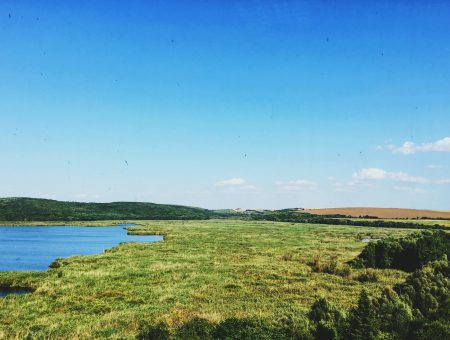 “Danube emotions” – Day Four
