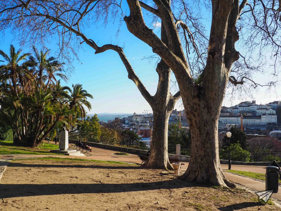 Jardim do Torel