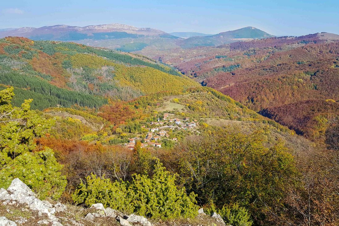 Връх Каменитица