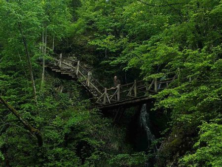 Ecopath „Byala Reka”