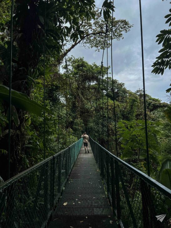 Monteverde cloud forests in Costa Rica