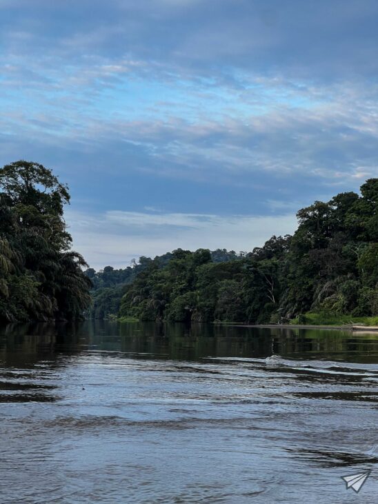Tortuguero