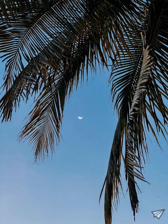 farewell Costa Rica