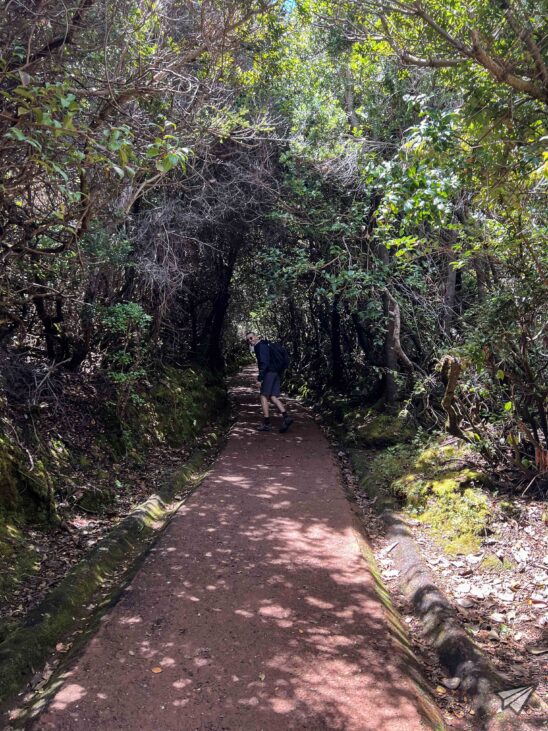 hike Volcano Poas in Costa Rica