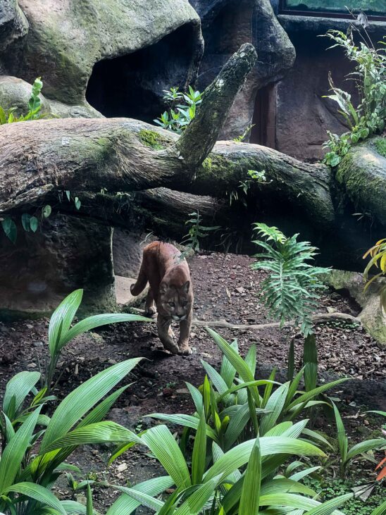 La Paz park in Costa Rica
